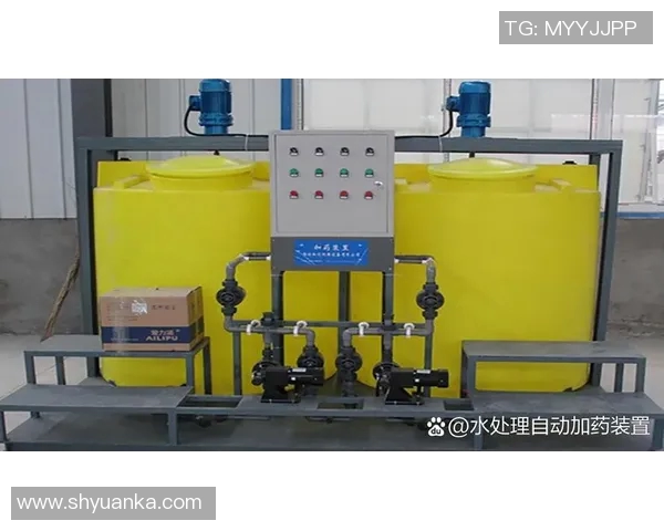 智能化泳池清洁技术创新与应用探索助力打造更加环保高效的水质管理系统 智能化泳池清洁技术创新与应用探索助力打造更加环保高效的水质管理系统