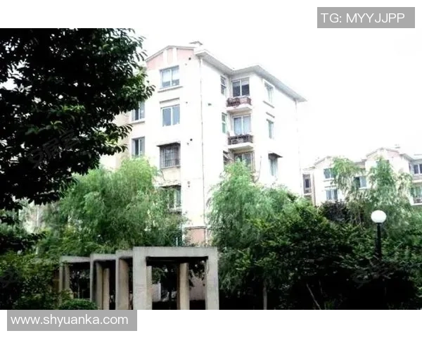 JDG在CSGO阵地战中的优势与不足分析探讨 JDG在CSGO阵地战中的优势与不足分析探讨