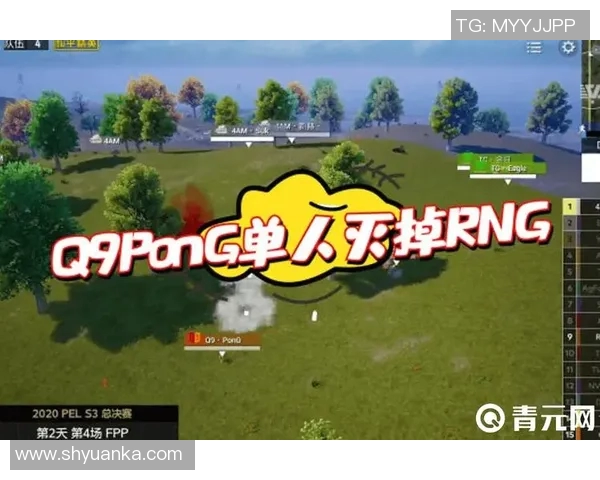 和平精英巨献：深入解析RNG战队的游戏节奏与战术策略