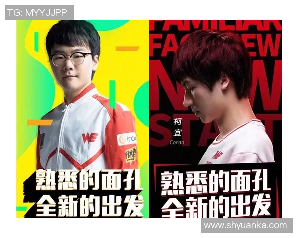 WE战队个人能力深度分析与战术影响探讨